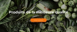 Frais Et Délicieux - Website Creator HTML