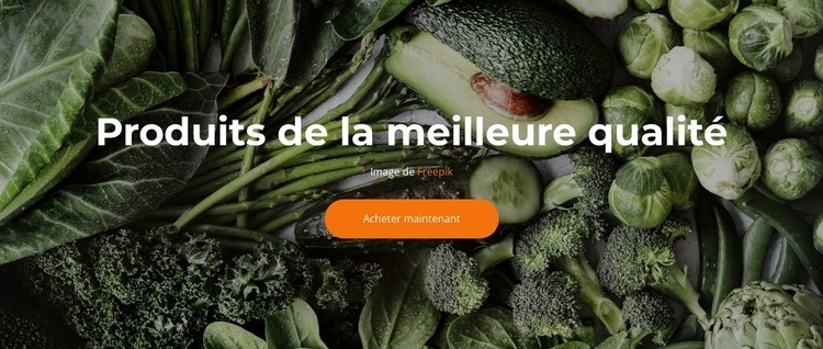 Frais et délicieux Créateur de site Web HTML