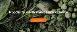 Modèle En Ligne Gratuit Pour Frais Et Délicieux