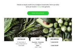 Restoranlar Iletişim Html Şablonunu Ücretsiz Indirin