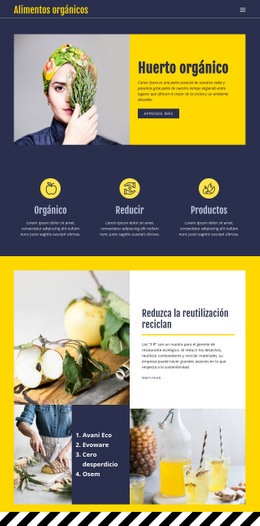 Comer Lo Esencial Para La Alimentación: Maqueta De Sitio Web Definitiva