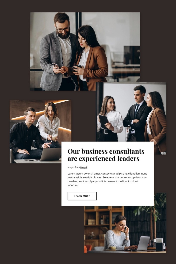 Business consultants Elementor Template Alternative