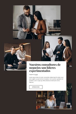 Consultores De Negocios - HTML Builder Drag And Drop