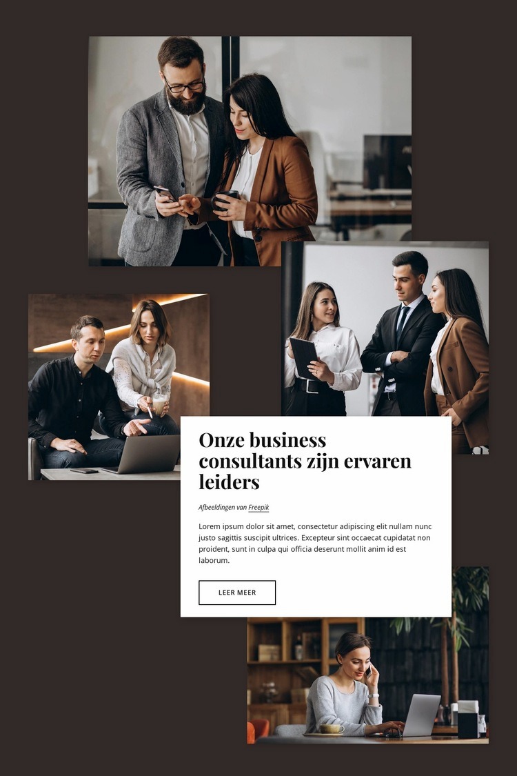 Bedrijfsadviseurs Website mockup