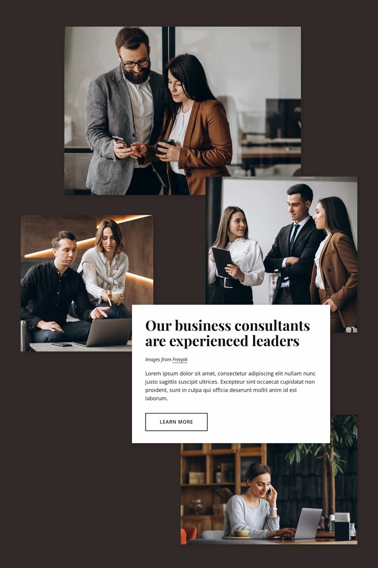 Business consultants Website Design