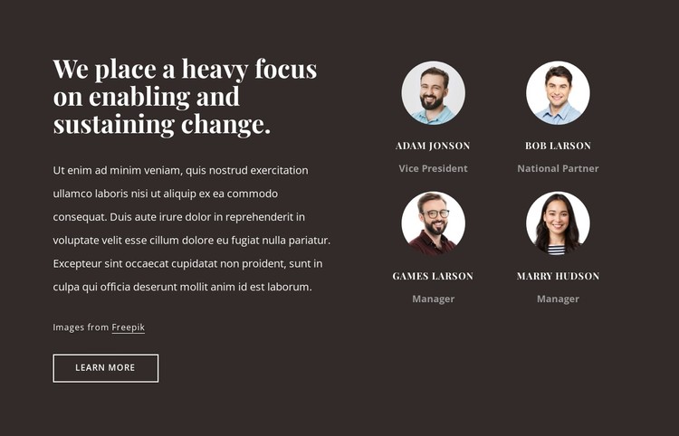 Consulting firm in the USA CSS Template
