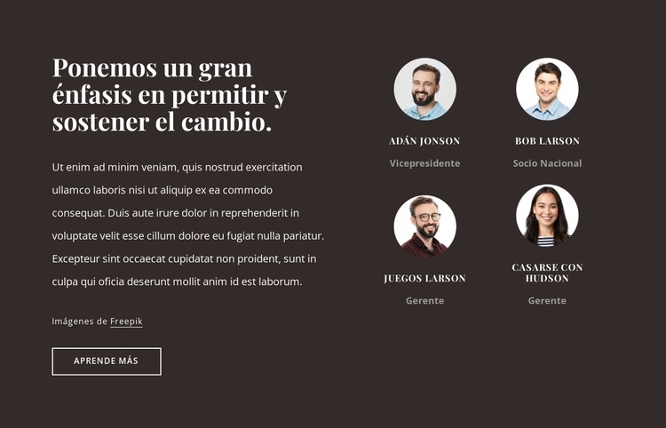 Empresa de consultoría en los EE.UU. Plantilla CSS