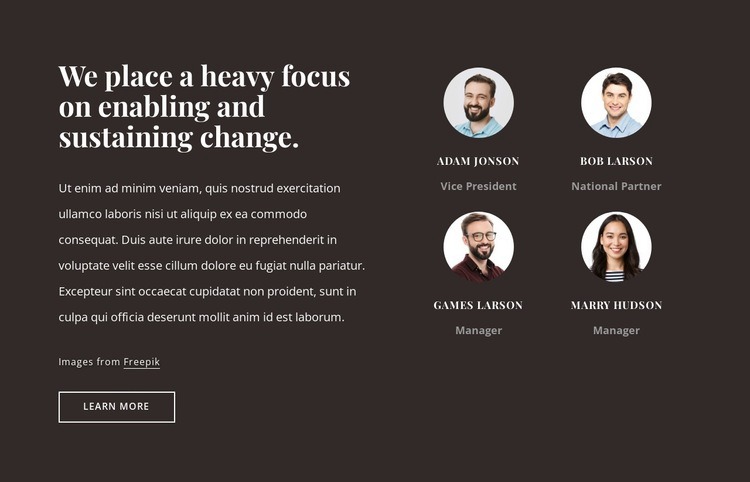 Consulting firm in the USA Homepage Design