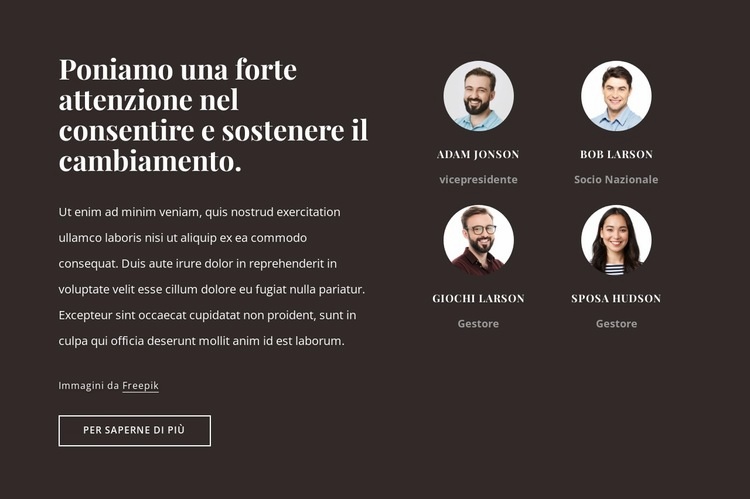 Società di consulenza negli Stati Uniti Costruttore di siti web HTML