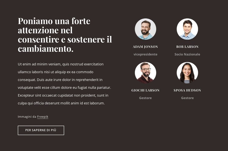 Società di consulenza negli Stati Uniti Modello CSS