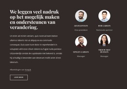 Websitemaker Voor Adviesbureau In De VS