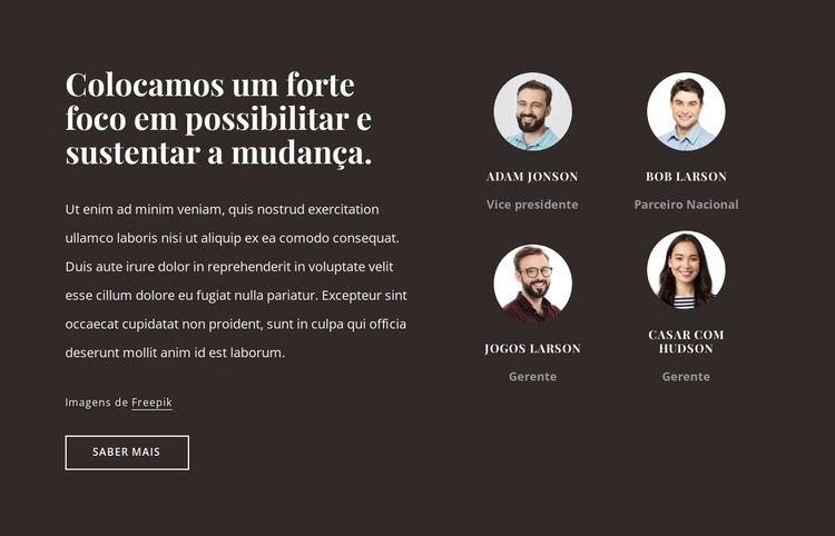 Empresa de consultoria nos EUA Design do site