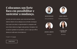 CSS Grátis Para Empresa De Consultoria Nos EUA