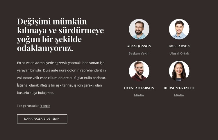 ABD'de danışmanlık firması CSS Şablonu