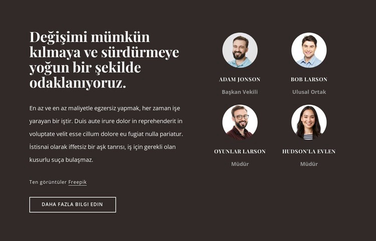 ABD'de danışmanlık firması Web sitesi tasarımı