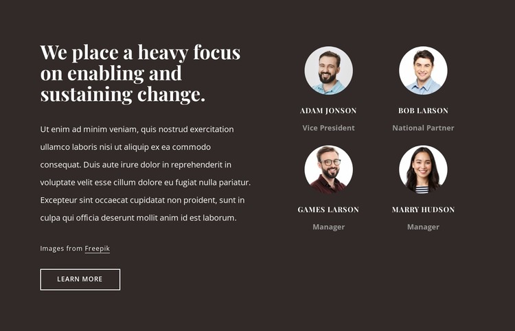 Consulting firm in the USA Website Mockup