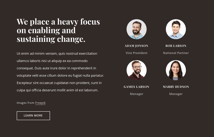Consulting firm in the USA Website Template