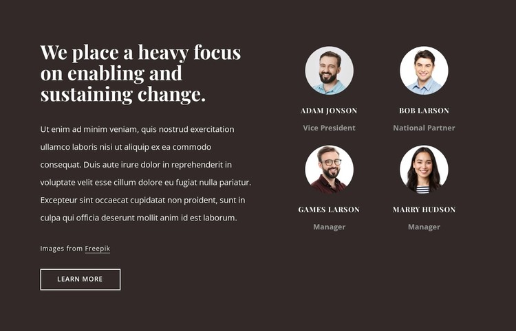 Consulting firm in the USA WordPress Theme