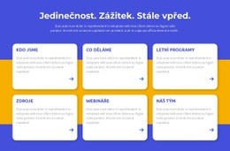 Jedinečnost, Požitek – Přizpůsobitelný Profesionální Design