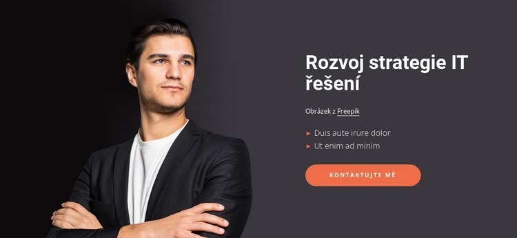 Efektivní IT řešení Šablona CSS