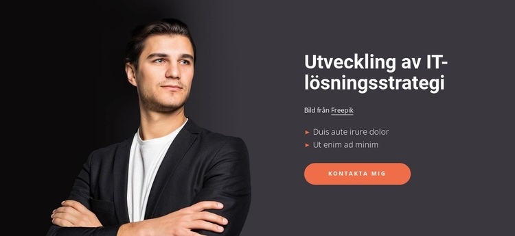 Effektiva IT-lösningar CSS -mall