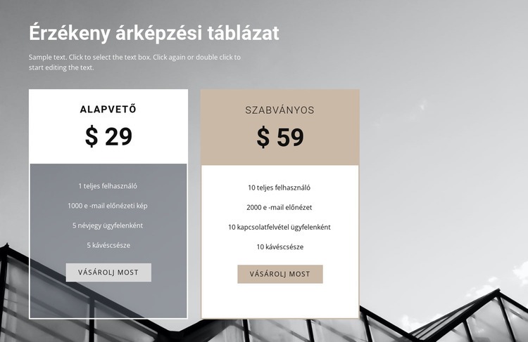 Magazin előfizetési ára HTML Sablon