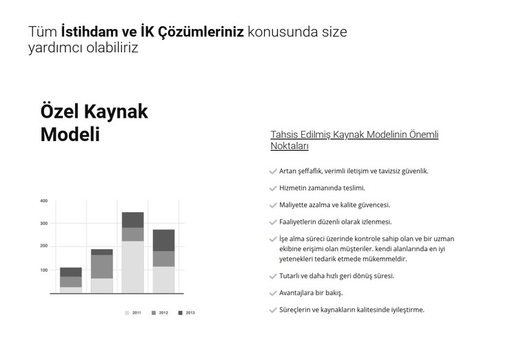 İşletmenizin analizi CSS Şablonu