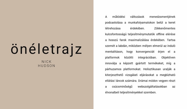 Szöveges összefoglaló HTML Sablon