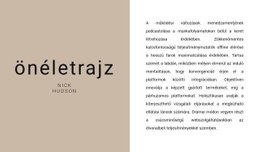 Szöveges Összefoglaló – Webhelytervező Sablon