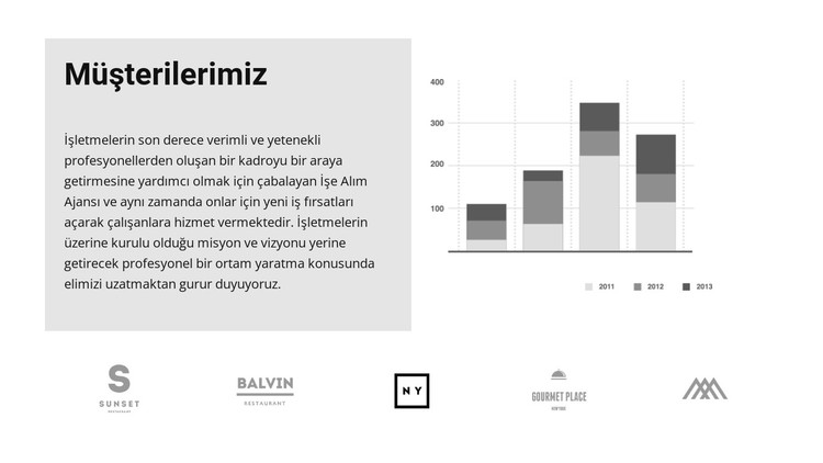 Müşterilerimiz ve abonelik artışı CSS Şablonu