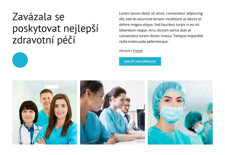 Nejlepší zdravotní péče Téma WordPress