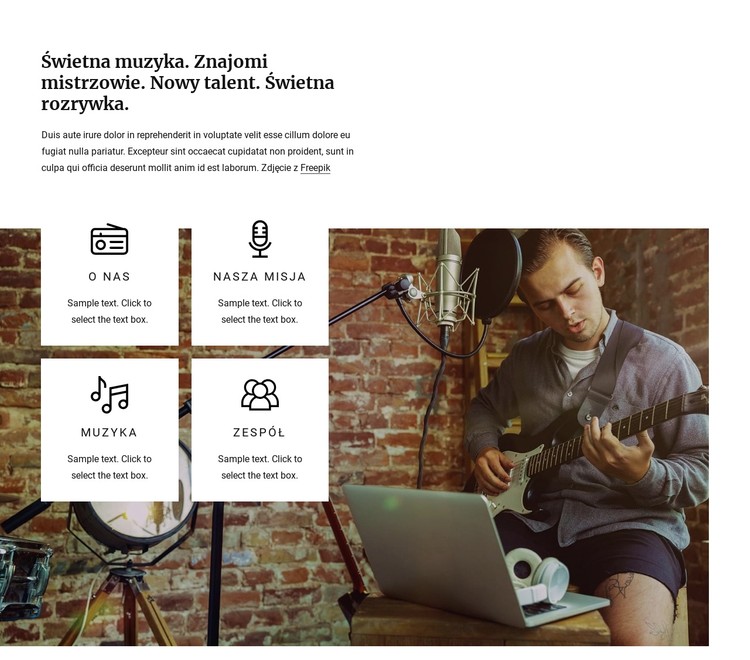 Świetne radio muzyczne Szablon CSS