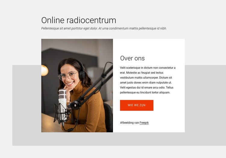 Online radiocentrum Website ontwerp