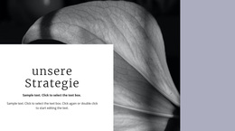 Unsere Lösungsstrategie – Kreatives, Vielseitiges WordPress-Theme