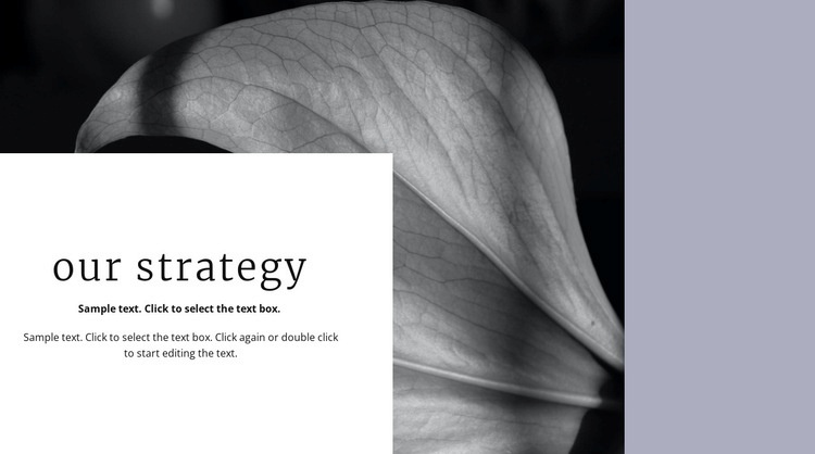 Our solution strategy Elementor Template Alternative
