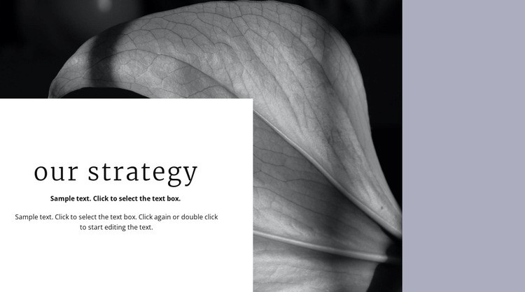 Our solution strategy Homepage Design