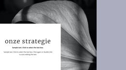 Onze Oplossingsstrategie - Creatief, Multifunctioneel WordPress-Thema