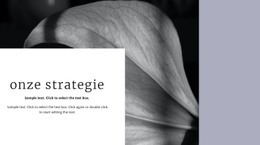 Onze Oplossingsstrategie - Gratis Websitemodel