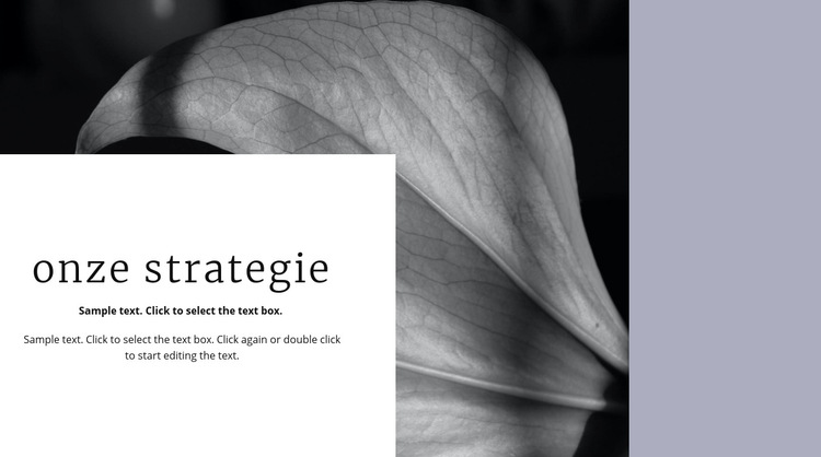 Onze oplossingsstrategie Website sjabloon