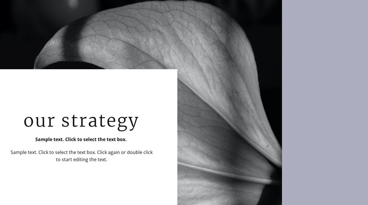 Our solution strategy One Page Template