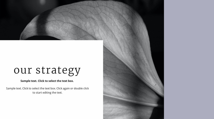 Our solution strategy Website Mockup