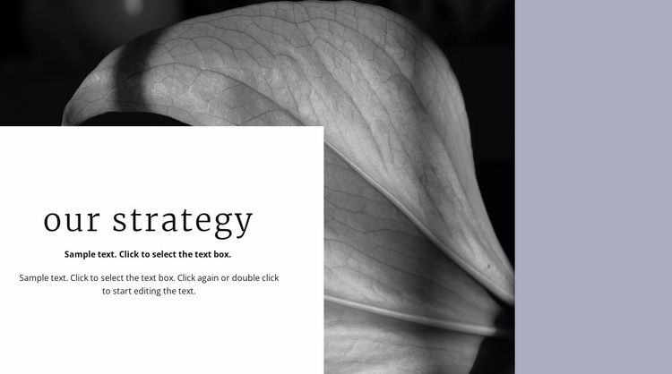 Our solution strategy Website Template