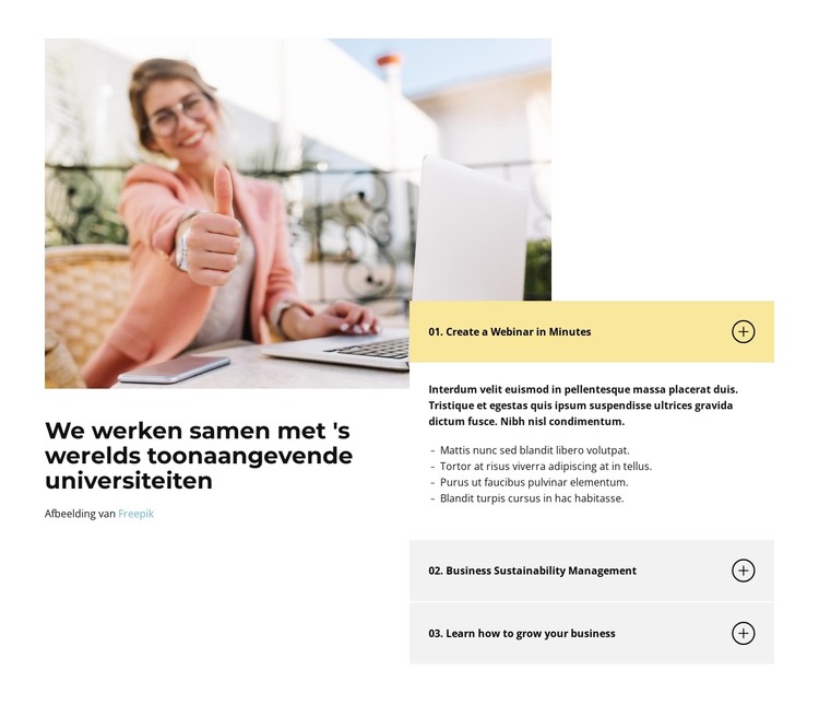 Kwalitatieve software-integratie CSS-sjabloon