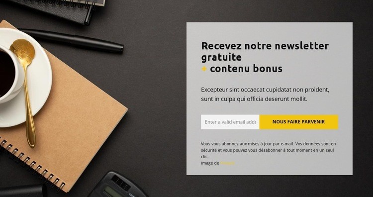 Bonus gratuit Conception de site Web