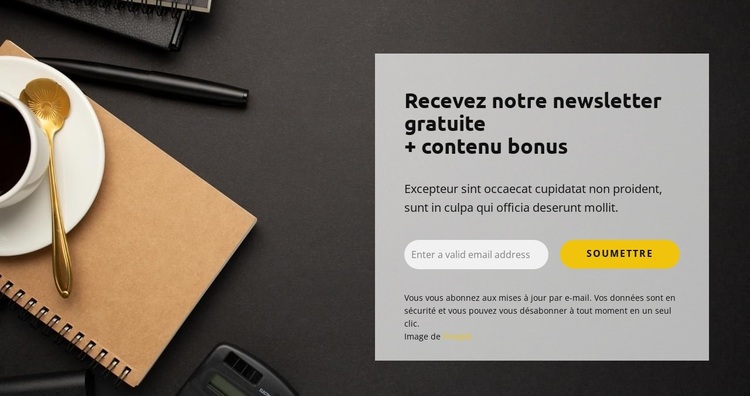 Bonus gratuit Thème WordPress