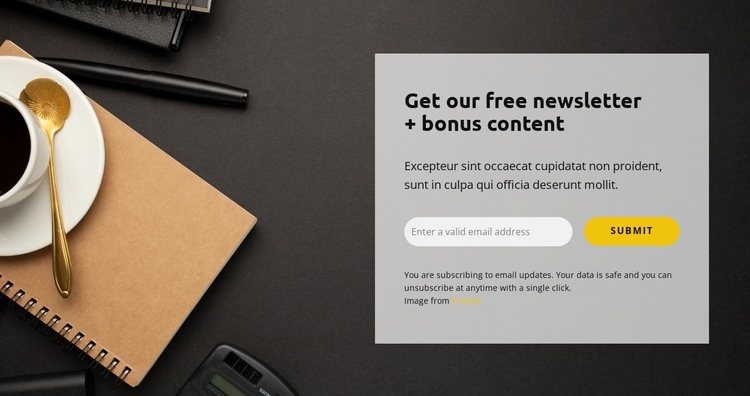 Free bonus One Page Template