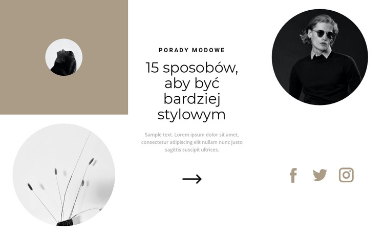 Konsultacja ze stylistą Motyw WordPress