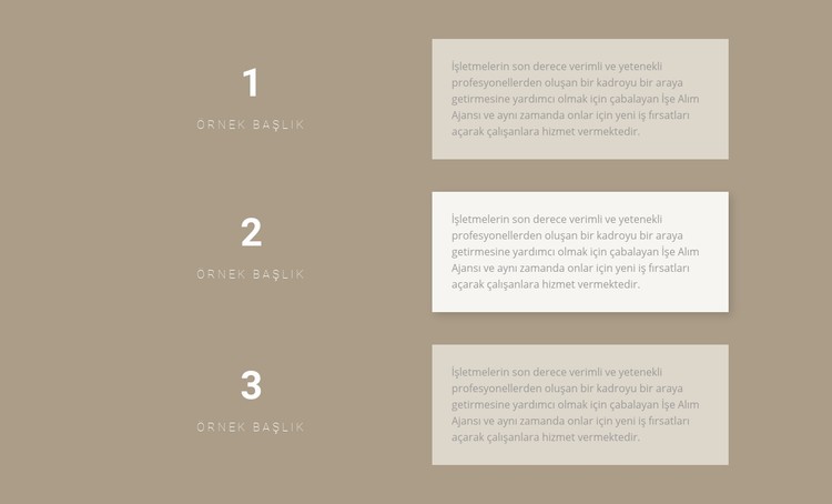 Üç adım adım plan CSS Şablonu