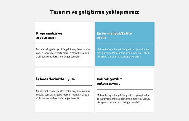 Geliştirme yaklaşımı Web Sitesi Mockup'ı