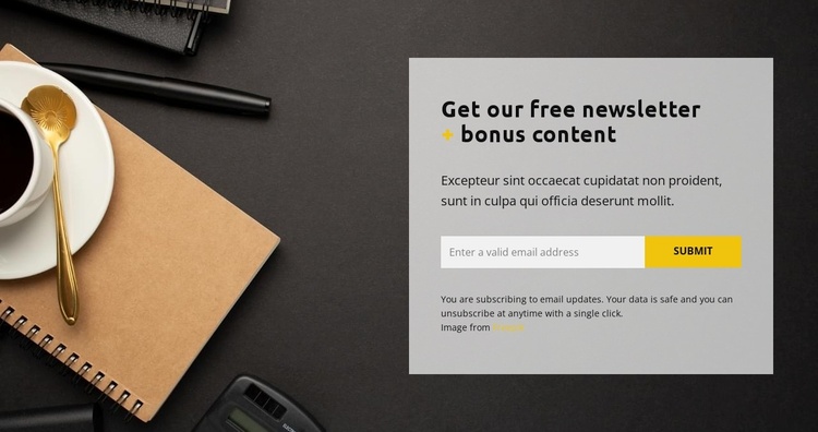 Free bonus eCommerce Template
